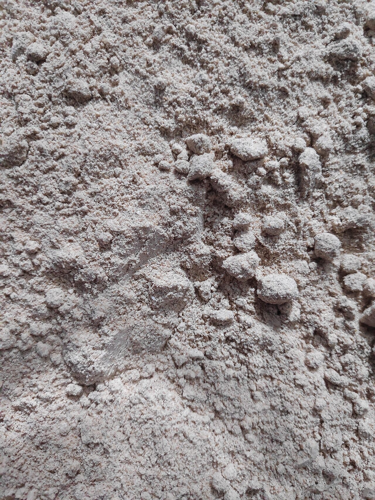 Sattu, roasted gram flour